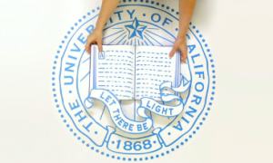 VIDEO - UC Brand Identity