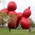 Frieze New York: Fascinating Sculptures and Installations